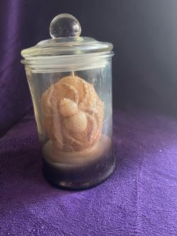 Anatomical Brain Candle Glass Jar Gothic Oddities Decor