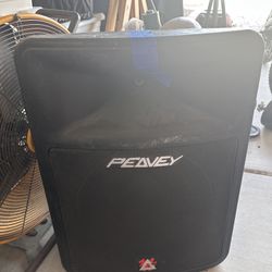 Peavy Passive PA Speakers