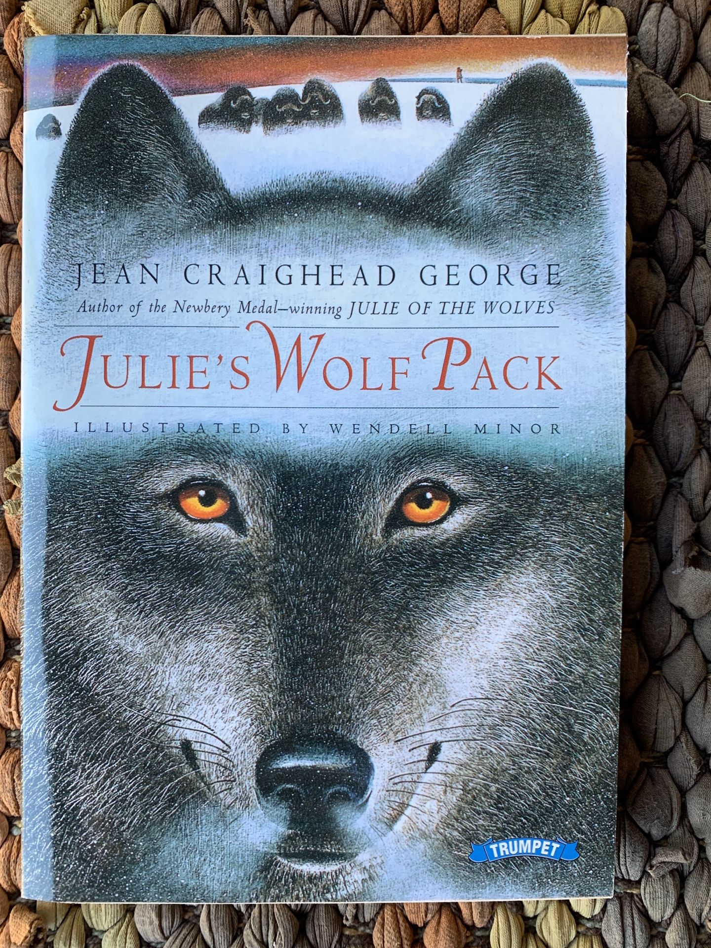 Class Set - Julie’s Wolf Pack by Jean Craighead George