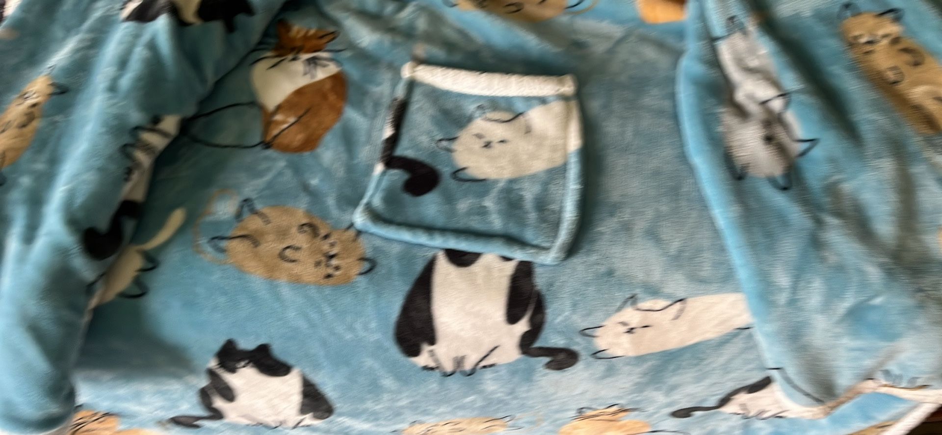 It’s a Blanket With A arms And a Pocket 