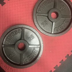Olympic Weights 25lbs X 2
