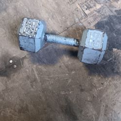 25lb Dumbbell 