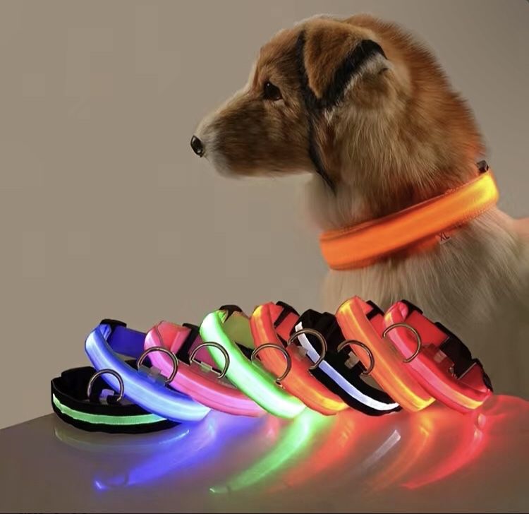 Glow-In-The-Dark Pet Collar For Small Medium Dogs, LED Dog Collar For Night Walking