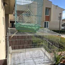 Birds Cage
