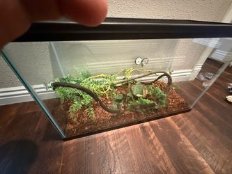 Tank with accessories