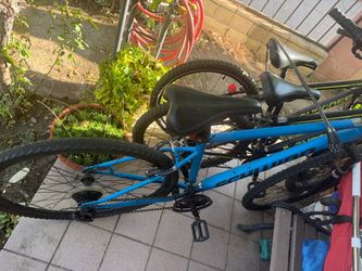 Bikes for sale