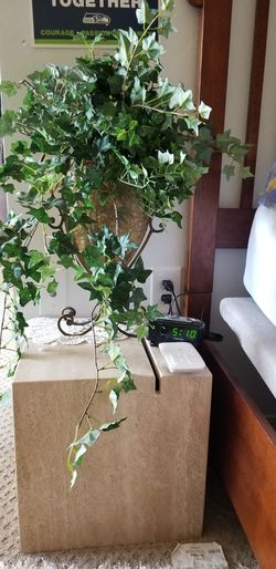 Beautiful Ivy's look's real nice vases