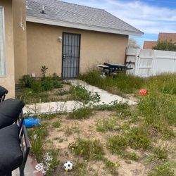 Yard Cleanups Message Me For More Info