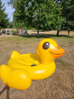 Huge Floating Duck