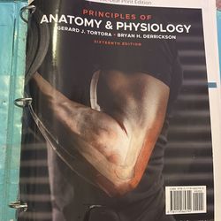 Anatomy textbook