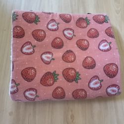 Strawberry Rabbit Tunnel