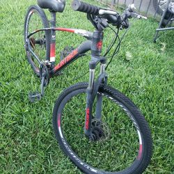 Murtisol Mountain Bike