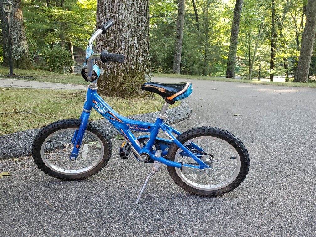 Giant animator kids 2025 bike