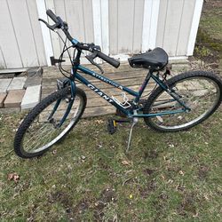 Adult women’s giant bike