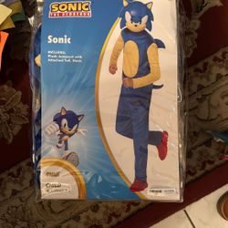 Halloween Sonic Costume 