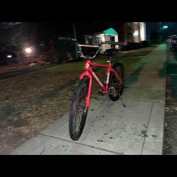 Eastern Growler 26 Inch 