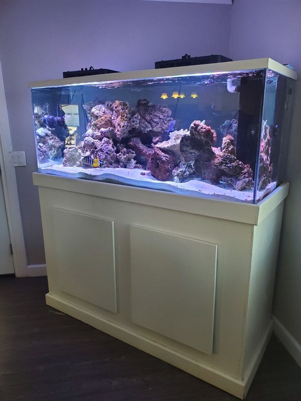 150 gallon salt water fish tank for Sale in Corona, CA OfferUp