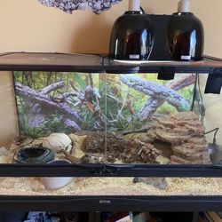 Reptile Enclosure With Everything Pictured 