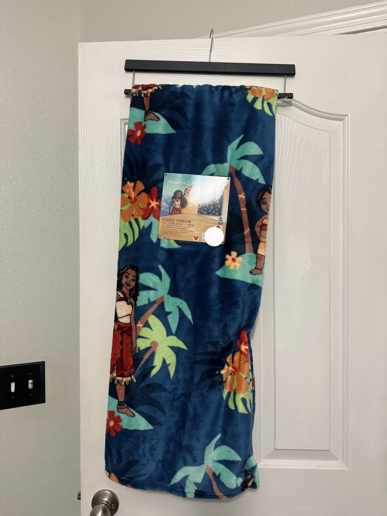 Disney Moana 2 Throw Blanket 50inx70in