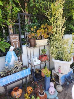 Big open sale today!!!!!!