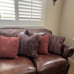 Couch/Bed Pillows