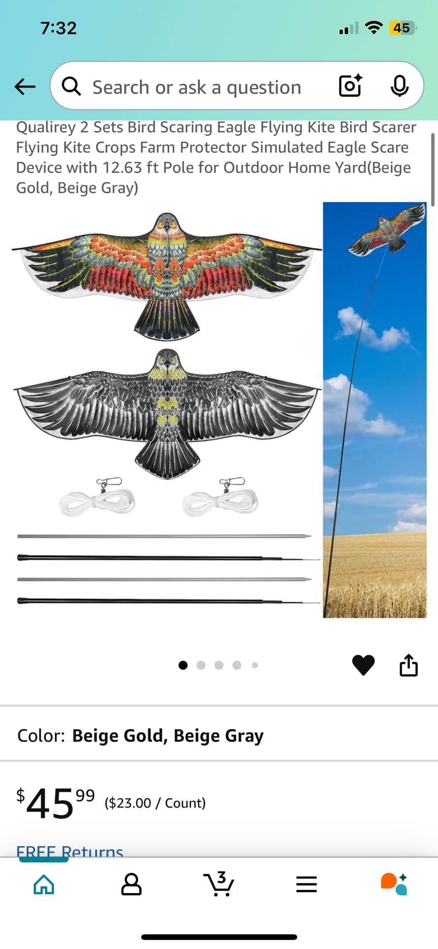 Kite