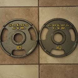 Gold Gym Weights Olympic