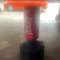 Everlast Standing Punching Bag 