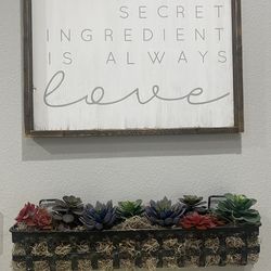 Metal Succulent Display