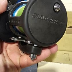 Daiwa Saltist
