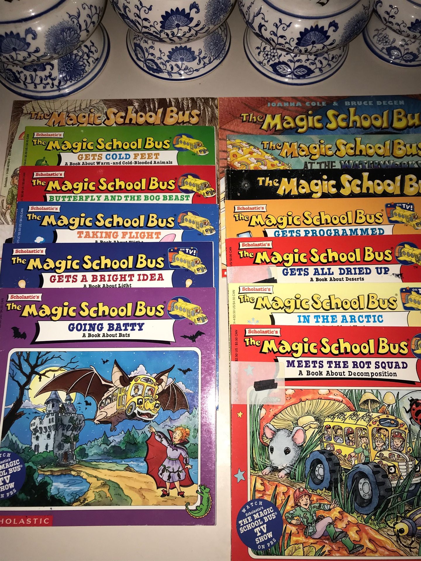 Popular Kids Book Collection ~Magic School Bus