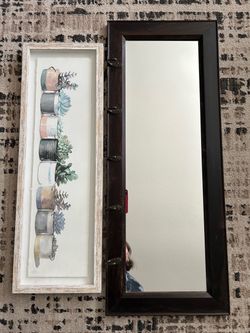Mirror with Hooks or Succulent Picture