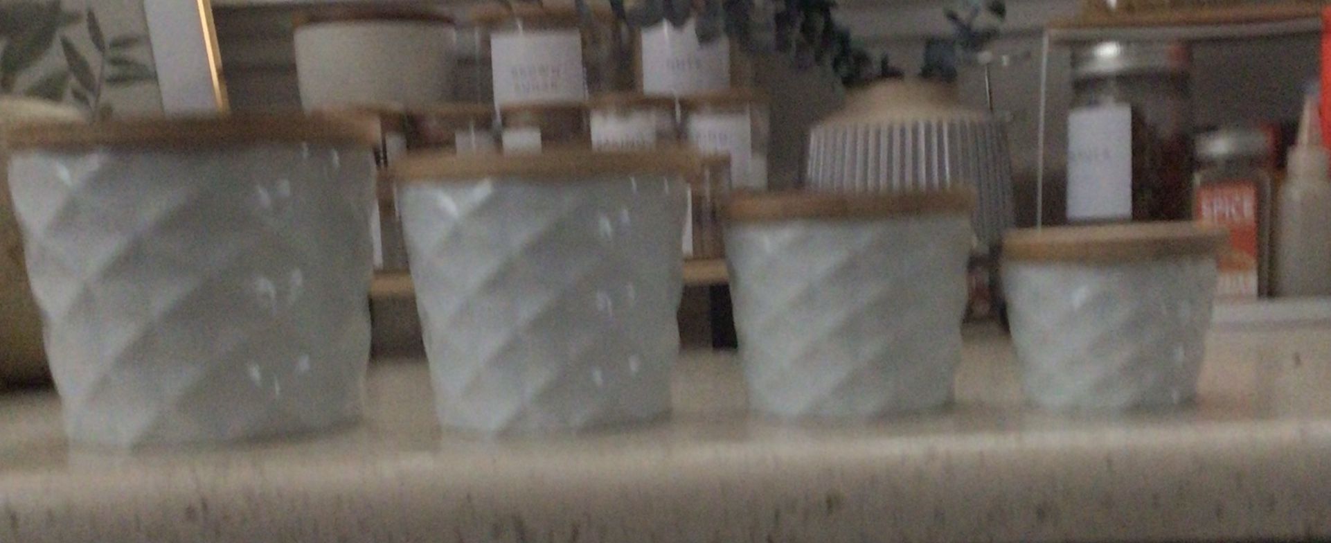 Plant Vases With Covers