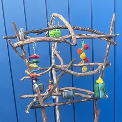 Parrot Perch Tree - Custom Made And Heaven For Mr Feathers !!