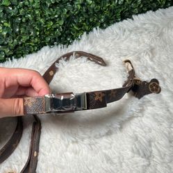 Dog Collar and Leash 