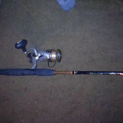 Shakespeare Ugly Stik Fishing Pole With Okuma Reel