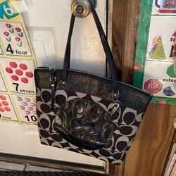 Coach Shoulder Purse For Women And Youth 