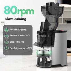 Masticating Juicer Machine