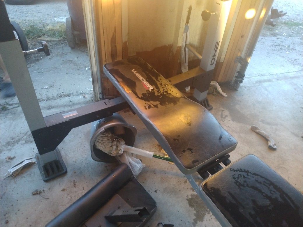 Joe Wieder Weight And Bench