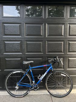 Scattante LX 330 Road Bike