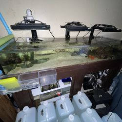 90 Gallon Rimless Lowboy Frag Tank Aquarium Stand Sump