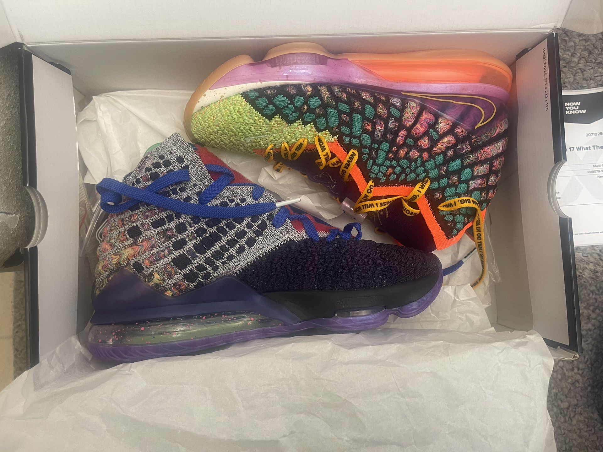 Lebron XVll WTW New!