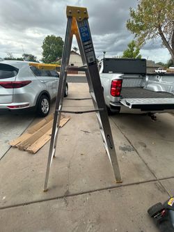 Werner 6 ft ladder