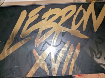 LeBron 17 global currency