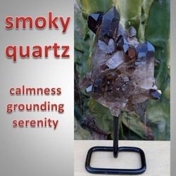 Smoky Quartz Cluster On Stand #1