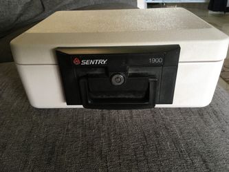 Safe Sentry
