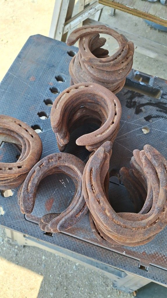 Rustic Western Horseshoes - 100+
