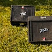 Peavy Monitors 