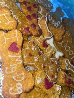 Pet’s Cakes & Treats 