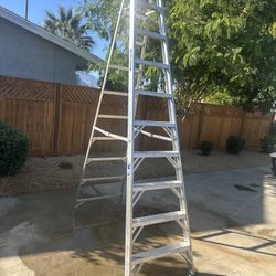 Werner Ladder 10ft